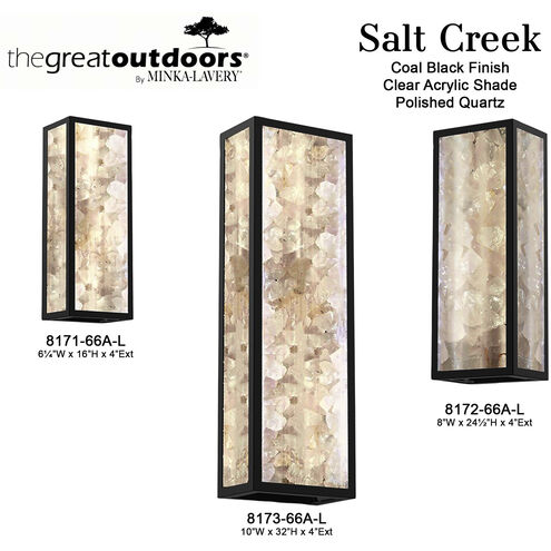Great Outdoors Salt Creek LED 16 inch Coal Outdoor Wall Sconce